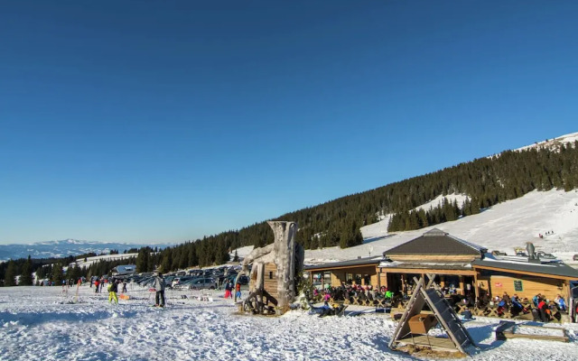 Chalet in Carinthia With Sauna Near Ski Slopes