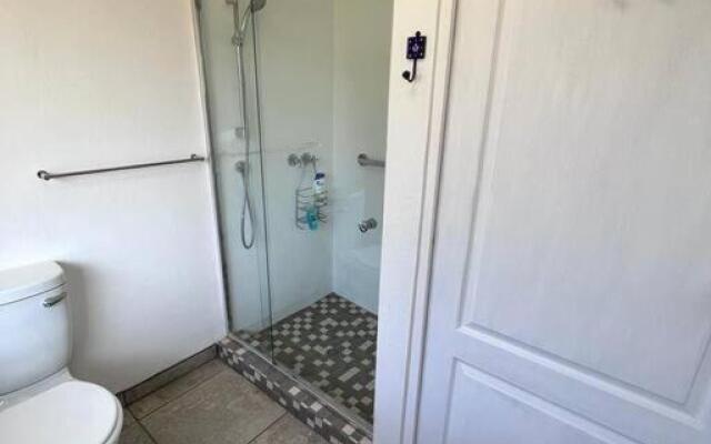 The Olive Thrush Spacious and Comfy 1 bedroom flat