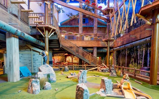 Great Wolf Lodge Illinois