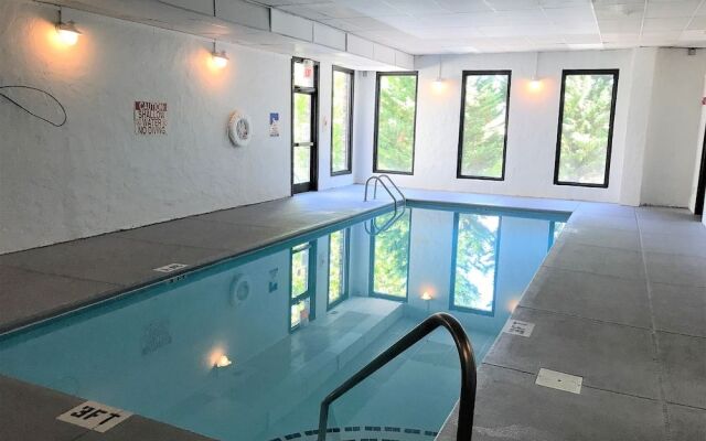 Smoky Mountain Bearadise w Pool.