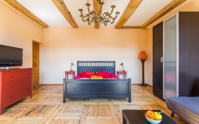 Griboedov Loft Apartments K47