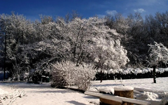 Au Domaine du Chai - Roulotte