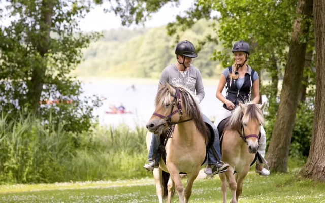 Seeschwalbe Mirow in Mirow