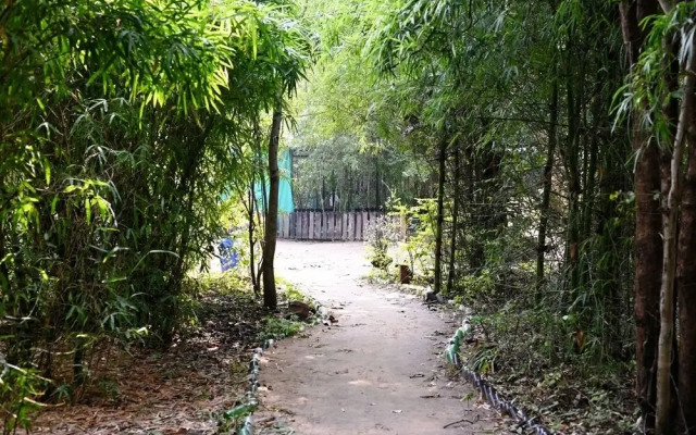 Tiger N Woods Resort