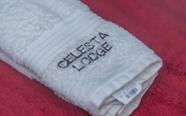 Room-one Large Room With Free Breakfast