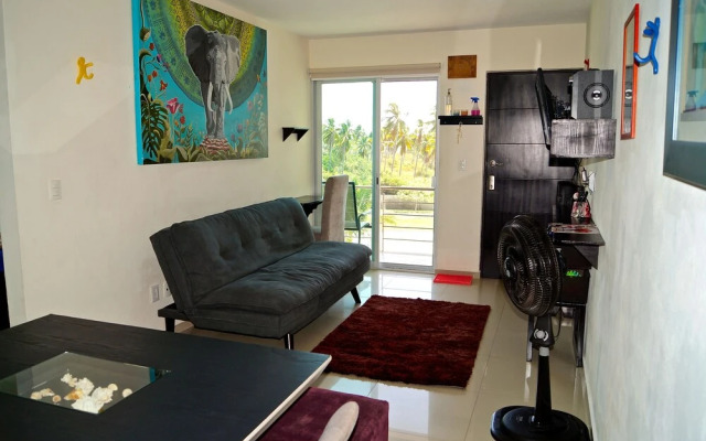 Acapulco Diamond Zone Residential With Jacuzzi in Private Roof Garden