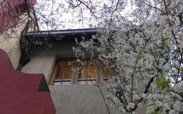 Providencia Bed and Breakfast