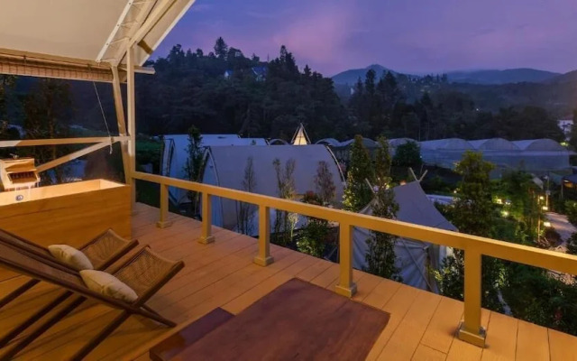 Zen By Stellar Cameron