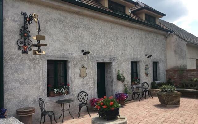 Boutique Hotel Pri Mlyne