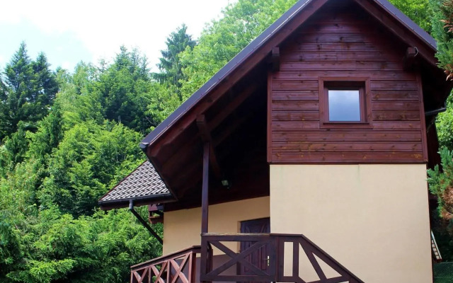 Zawoja Chaty Górskie D3