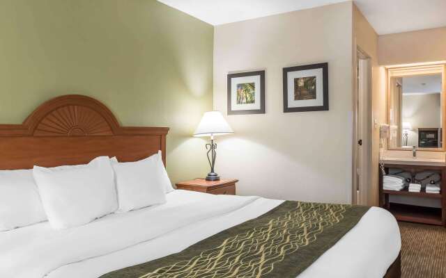 Comfort Inn Pine Grove I-81 Hershey Area