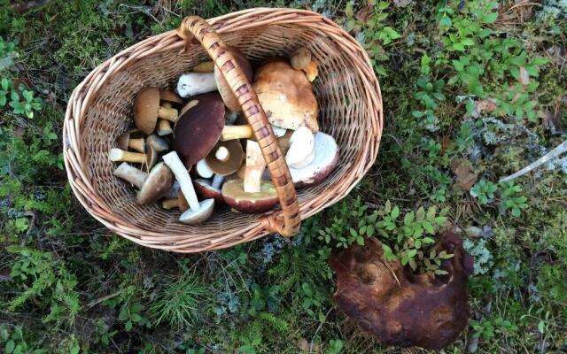 Semeinaya Baza Medvejia Kara