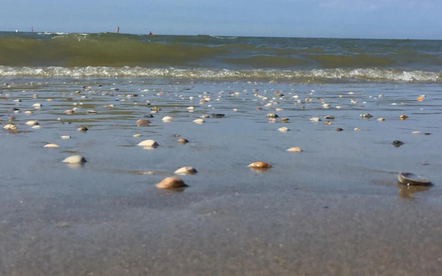 Sea You Hotel Noordwijk