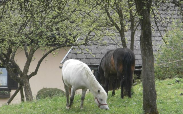 Ferienhof Grubinger