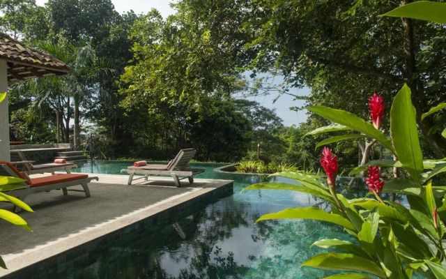 08 Acre Private Tea Estate Close To Galle
