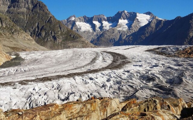 S Dlenz 41 Riederalp