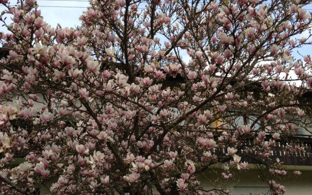 Gasthof & Landhotel Ohrnbachtal