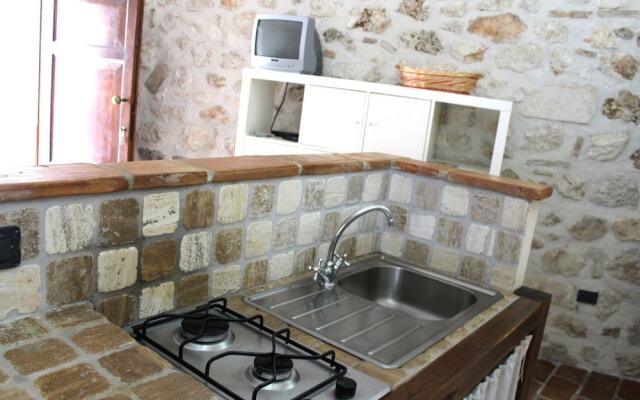 Volpe - Parco Nazionale d'Abruzzo