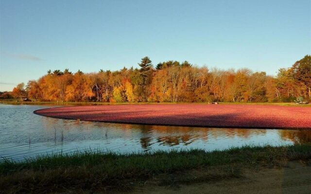 On Cranberry Pond B&B