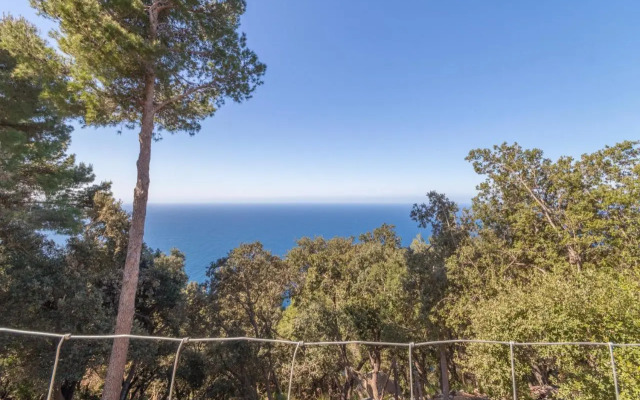 Valldemossa - 281388