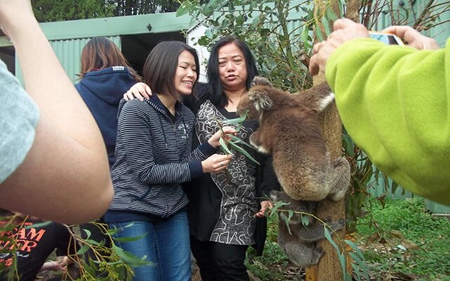Fauna Australia Wildlife Retreat