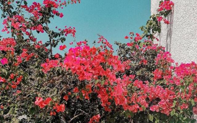 Hotel Kalamitsi Apartments