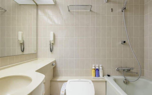 Comfort Double room (풀 더블 침대) 사진 4