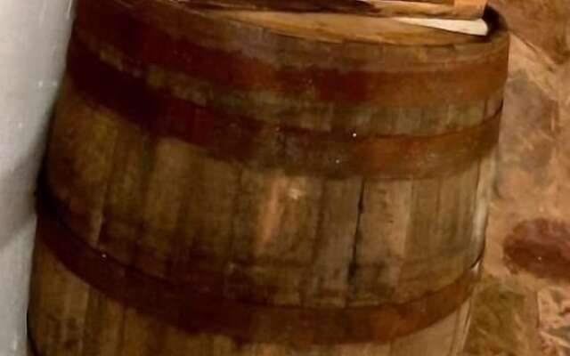 Rocky Hollow Guest Farm