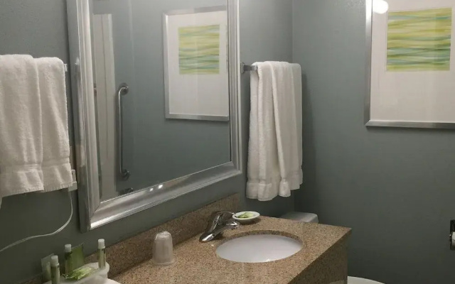 Holiday Inn Express Braselton