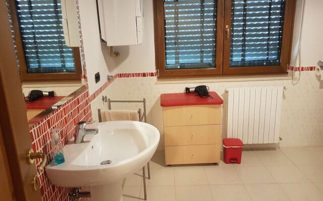 B&B Camelie