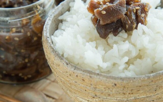 Reisenji Onsen Nakaya Ryokan