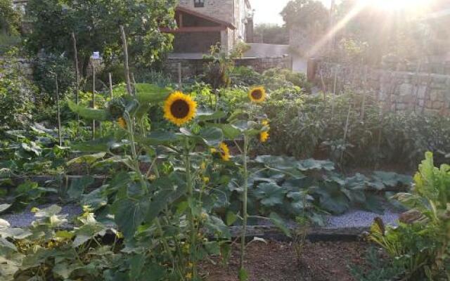 Las Azadas Alojamiento Rural
