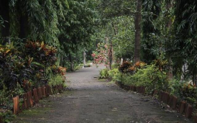 Sai Farms