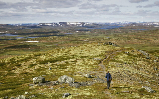 Havsdalsgrenda Apartments