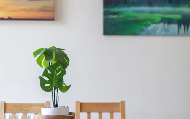 Spacious 3-bed flat by popular Waterloo
