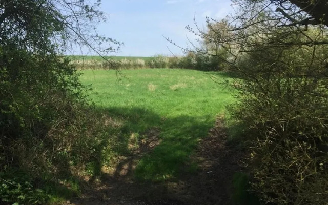 Waldegrave farm
