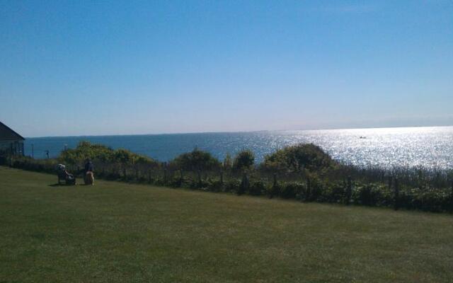 Blue Skies