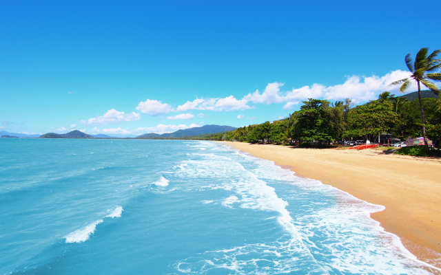 Drift Palm Cove