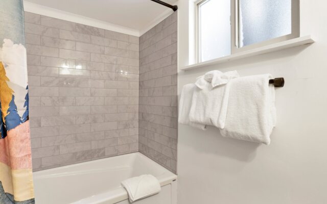 Midnight Pines #2424