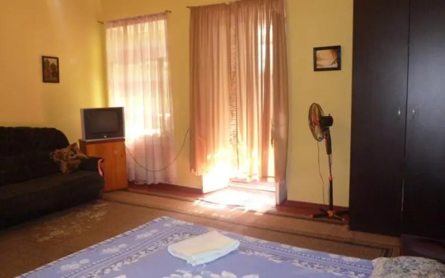 Apartment Mziia