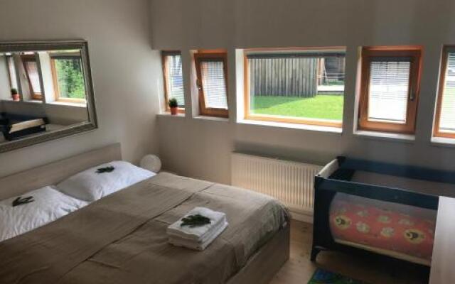Chalet 6 Harrachov