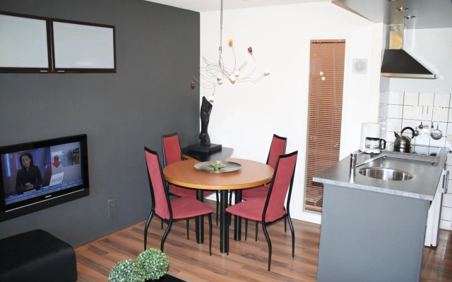 4 sterren Appartement APHRODITE Amelander-Kaap met ZWEMBAD