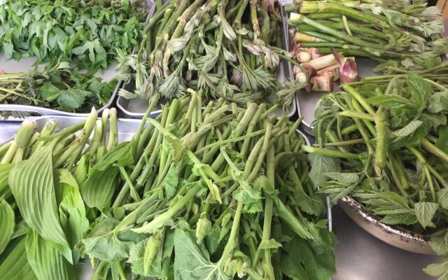 Gassan no yado kasiwaya