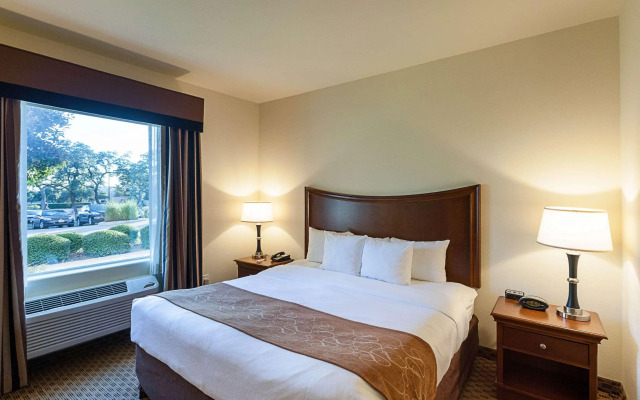 Comfort Suites San Antonio North - Stone Oak