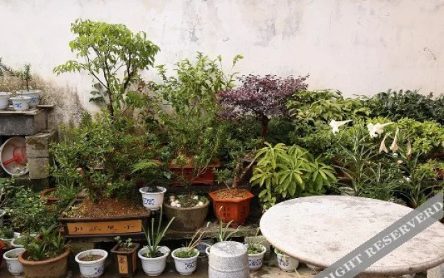 Shendu Lvyuan Farmhouse