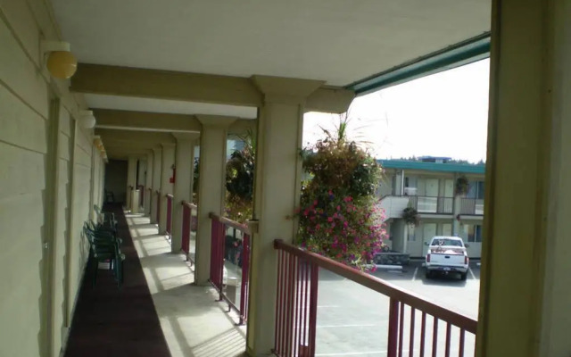Town Centre Inn