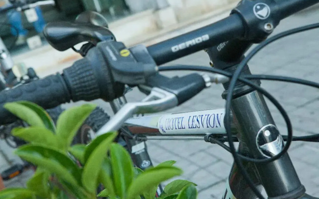 Hotel Lesvion
