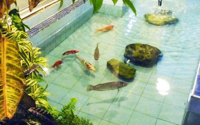 Hatyai Greenview Hotel