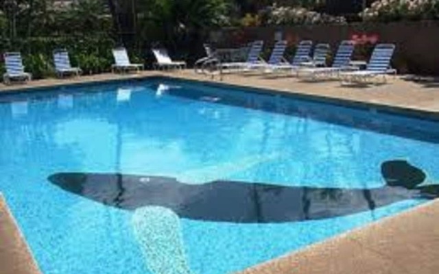 Kihei Garden Estates G102 - One Bedroom Condo