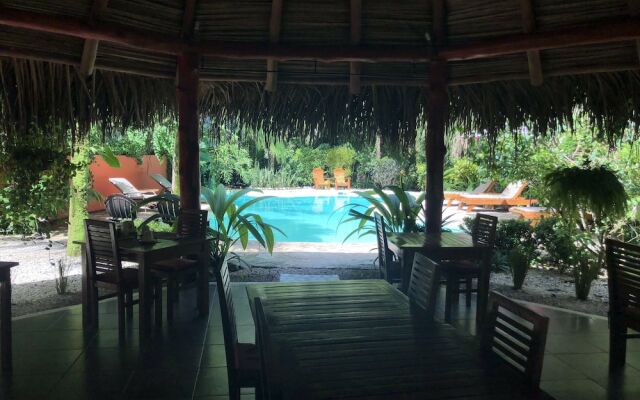 Hotel El Pequeño Gecko Verde
